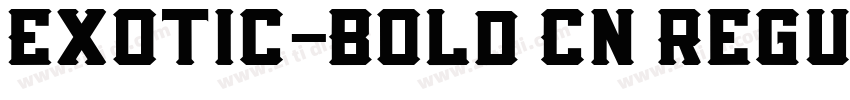 Exotic-Bold Cn Regul字体转换